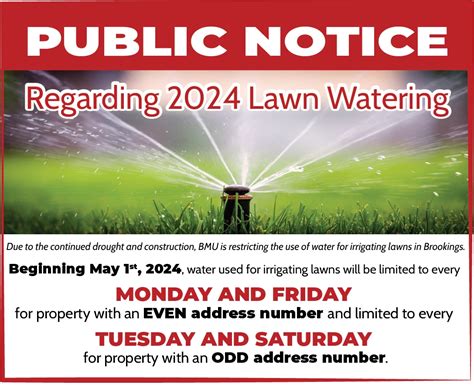 maple ridge watering restrictions 2024.